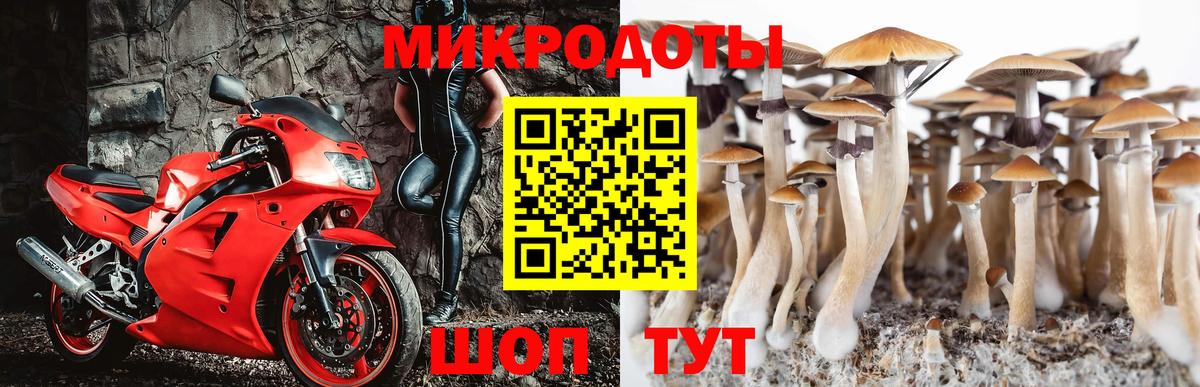 Сатка  Галлюциногенные грибы ЛСД  Вход с VPN 